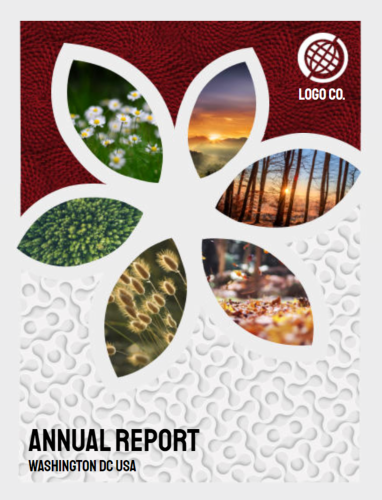 annual reports book websites