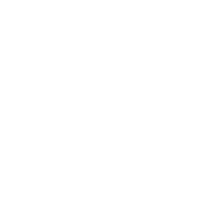 network website globe