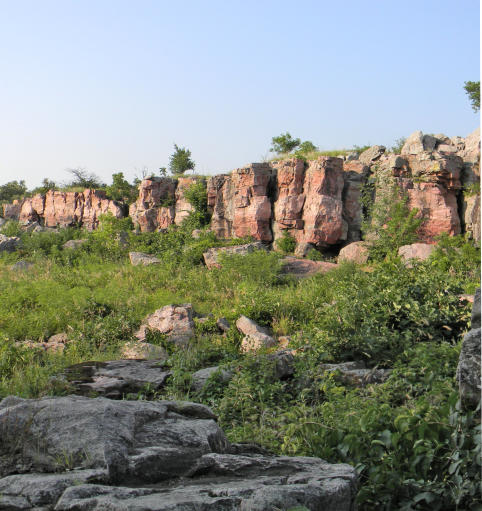 Custom Website Design Photo