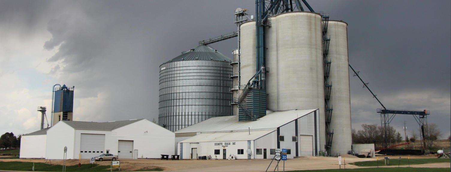 Custom Website Design Photo