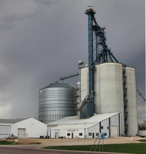 Custom Website Design Photo