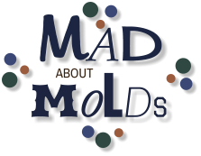 MAD MOLDS ABOUT