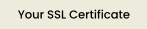Your SSL Certificate