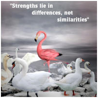 strengths lie in differences, not similarities