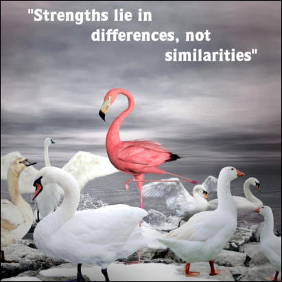strengths lie in differences, not similarities